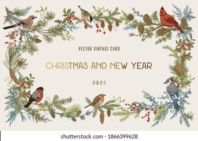 Vintage vector frame. Winter birds. Botanical illustrations. Christmas and New Year. Greeting card. 