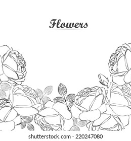 Vintage vector garden roses