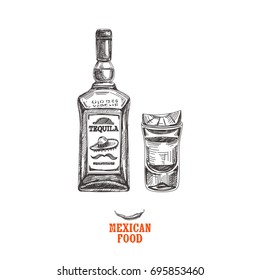 Vintage vector hand drawn Mexican food sketch Illustration. Retro style. Tequila