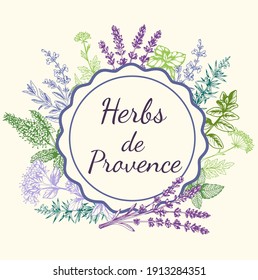 Vintage vector hand drawn round background with Provencal spices and herbs. Decorative floral frame