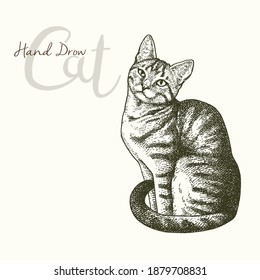 Vintage vector illustration of cute cat