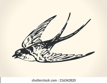 Vintage Vector Illustration Of Flying Swallow Over White Background