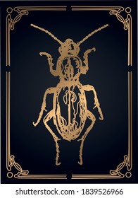 vintage vector illustration of a golden beetle made in the style of line art and art nouveau. 6