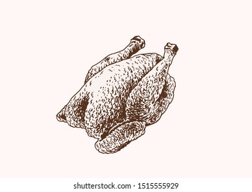 Vintage vector illustration of grilled hen , sepia, fast food