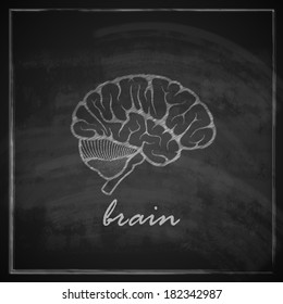 vintage vector illustration of human brain on blackboard background