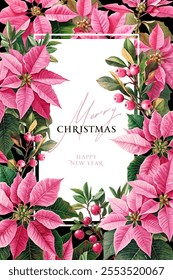 Vintage vector illustration with pink poinsettia flowers on a changeable background. Christmas floral design template for a greeting card, invitation, notebook cover, flyer or certificate.