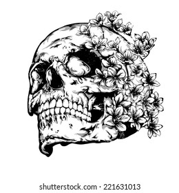 Vintage vector illustration - Skull with flowers