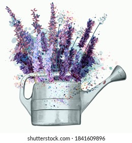 Vintage vector illustration with water can and lavender flowers, watercolor French style