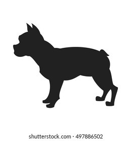 Vintage vector image of a black silhouette of a thoroughbred Bulldog standing straight isolated on white background looking like a shadow of the image.
