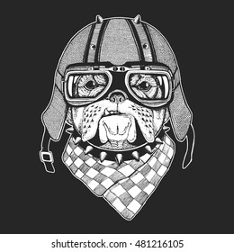 Vintage vector images of dogs for t-shirt design for motorcycle, bike, motorbike, scooter club, aero club