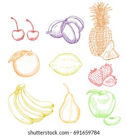 Vintage vector Ink hand drawn collection of citrus fruits isolated on white background. Sketched illustration of highly detailed exotic plants outlines. Hand drawn illustration.