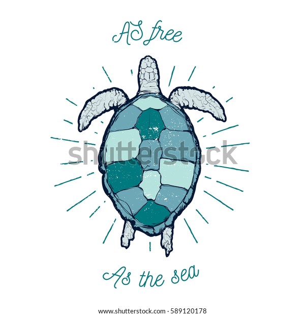 Vintage Vector Label Sea Turtle Text Stock Vector (Royalty Free) 589120178