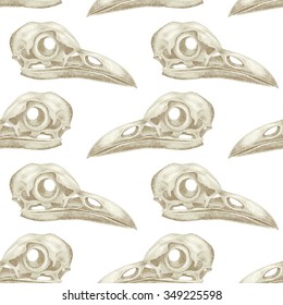Vintage vector pattern with skulls raven on a white background.