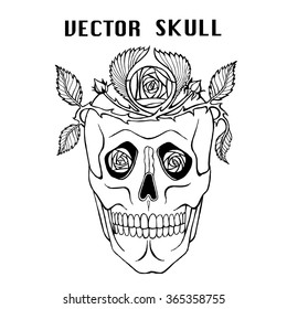 Vintage vector pirate skull with flowers wreath vector illustration. Santa Muerte.
