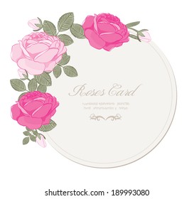 Vintage vector postcard of pink garden roses 
