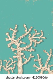Vintage vector poster with a white corals