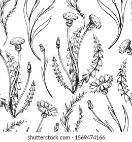 Vintage vector seamless pattern. Graphic sketches of dandelion, rosemary, cornflower. Field plants background. Hand drawn botanical wallpaper. For wrap, paper, textiles, postcards, prints, fabric etc.