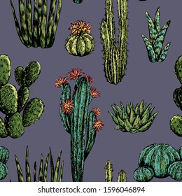 Vintage vector seamless pattern. Graphic sketches of different cacti and succulents. Hand drawn desert plants wallpaper. Colored botanical background. For wrap, textile, postcard, prints. Trend design