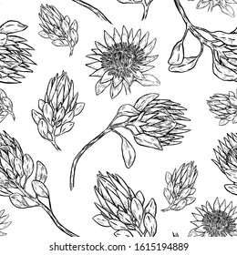 Vintage vector seamless pattern. Graphic sketches of tropical Protea flowers. Hand drawn exotic plants background. Black contour botanical wallpaper. For textile, papers, print, wrapping, fabric, card