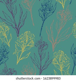 Vintage vector seamless pattern. Sketches of tropical Alstroemeria flowers. Hand drawn exotic plants background. Colored contour botanical wallpaper. For textile, paper, print, wrapping, fabric, card.