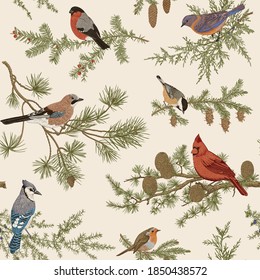 Vintage vector seamless pattern. Winter birds. Botanical illustrations. Tit, Robin, Jay, Blue jay, Bullfinch, Bluebird, Red cardinal