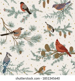 Vintage Vector Seamless Pattern. Winter Birds. Botanical Illustrations. Tit, Robin, Jay, Blue Jay, Bullfinch, Bluebird, Red Cardinal