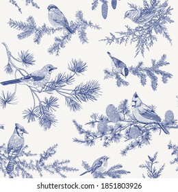 Patrón vectorial vintage sin fisuras. Aves de invierno. Ilustraciones botánicas. Tit, Robin, Jay, Blue jay, Bullfinch, Bluebird, Cardenal Rojo. Azul y blanco