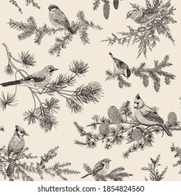 Vintage vector seamless pattern. Winter birds. Botanical illustrations. Tit, Robin, Jay, Blue jay, Bullfinch, Bluebird, Red cardinal. Black and white