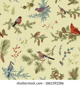 Vintage vector seamless pattern. Winter birds and branches. Botanical illustrations. Green color