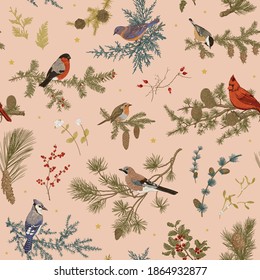 Vintage vector seamless pattern. Winter birds and branches. Botanical illustrations. Coral color