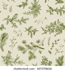 Vintage vector seamless pattern. Winter birds and branches. Botanical illustrations. Green