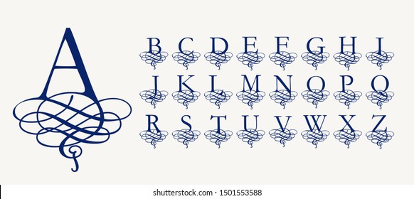 Vintage Vector Set . Calligraphic capital letters with curls, Stylized Arabic knit for Monograms and Logos. Beautiful Filigree Font. Baroque style.