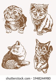 vintage vector set of cats,fluffy pet element