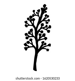vintage vector set of hand drawn tree branches with leaves and flowers. Spring time, blossom, floral, cute.