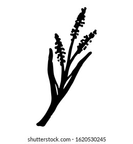 vintage vector set of hand drawn tree branches with leaves and flowers. Spring time, blossom, floral, cute.