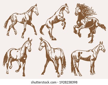 conjunto vectorial vintage de caballos, ilustración sepia