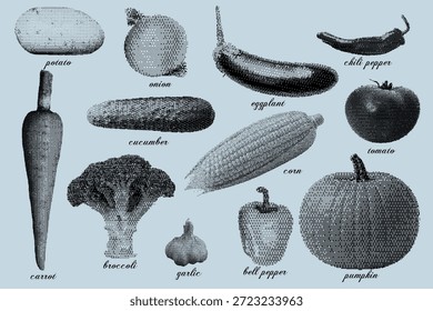 Vintage vetor conjunto de ilustrações de legumes em um fundo azul. Bitmap artístico.
