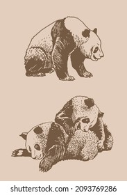 Vintage vector set of pandas , graphical illustration 