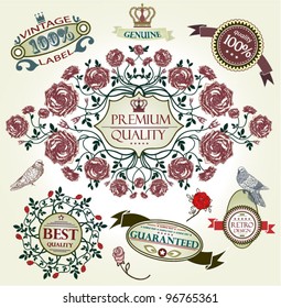 Vintage vector set: retro design elements, page decoration, Premium Quality and Satisfaction Guarantee Label collection