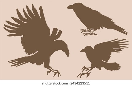 Vintage vector set of silhouettes of crows. Elements for design,tattoo and printing	