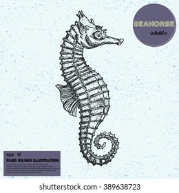 Vintage Vector Sketch Of Seahorse. Hand Drawn Illustration In Line Art Style. Engraved Tattoo Sketch. Sealife Collection