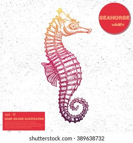 Vintage vector sketch of seahorse. Hand drawn illustration in line art style. Engraved tattoo sketch. Sealife collection