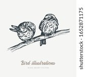 Vintage vector spring card. Birds on a branch. Monochrome. Line drawings, ink drawing, hand drawn illustration for poster, social media, post, wedding, textile, design template.