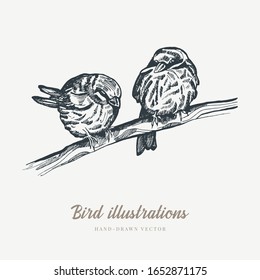 Vintage vector spring card. Birds on a branch. Monochrome. Line drawings, ink drawing, hand drawn illustration for poster, social media, post, wedding, textile, design template.