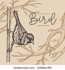 Tarjeta de muelle vectorial vintage. Aves en una rama. Monocromo. Dibujos en línea, dibujo en tinta, ilustración dibujada a mano para afiche, medios sociales, post, boda, textil, plantilla de diseño.