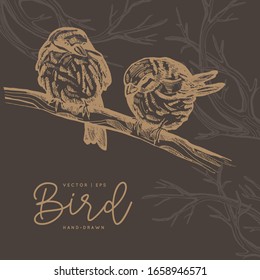 Vintage vector spring card. Birds on a branch. Monochrome. Line drawings, ink drawing, hand drawn illustration for poster, social media, post, wedding, textile, design template.