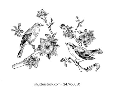 Vintage vector spring card. Birds on a branch of apple blossoms. Monochrome.