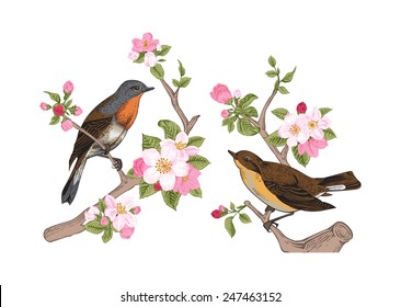 Vintage vector spring card. Birds on a branch of apple blossoms pink flowers.