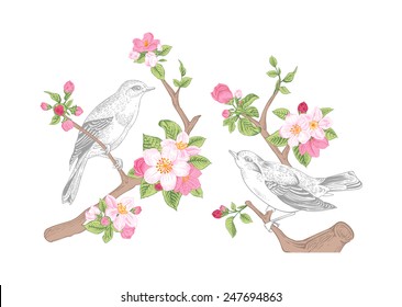 Vintage vector spring card. Birds on a branch of apple blossoms pink flowers.
