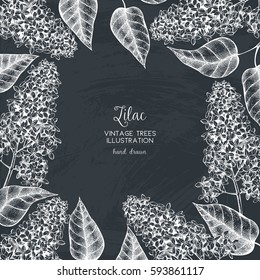 Vintage vector spring card design. Hand drawn blooming branches of lilac tree on chalkboard. Botanical illustration.